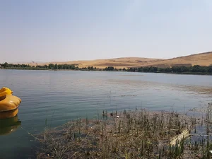 کارگاه نجاری وmdf اذرخش چوب