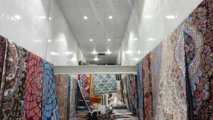 پخش روفرشی باوی