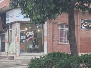 پیتزا ساندویچ باگت