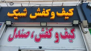 کیف و کفش شیک 2