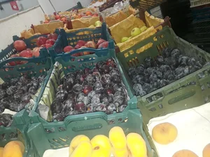 میوه فروشی فصل 3