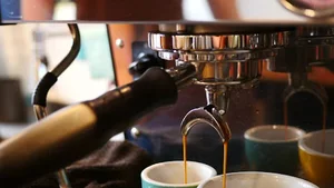 cafe arabica