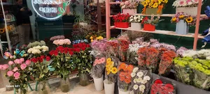 گلفروشی شاه گل