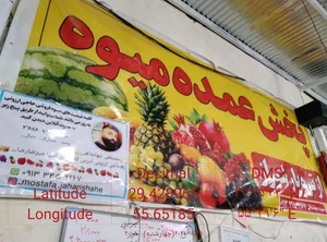 ایستگاه میوه (عرضه مستقیم میوه از شیراز)