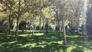 بوستان ارکیده