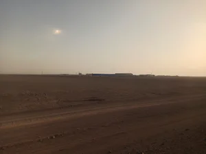 بیسکویت آوند