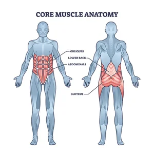 Core Strength is the Backbone of Fitness - Symbios Health
