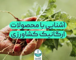 محصولات ارگانیک بیده