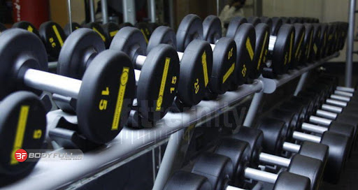 باشگاه بدنسازی فلکس flex