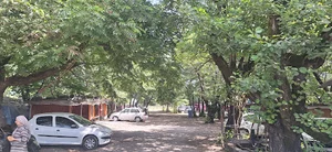 اقامتگاه پامچال