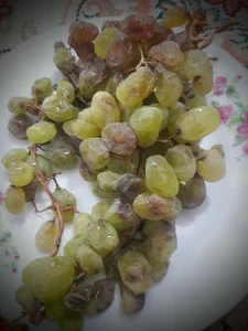 تصفیه آب منتشلو