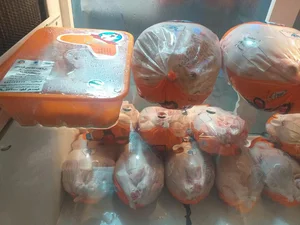 فروشگاه مرغ پرطلایی 3