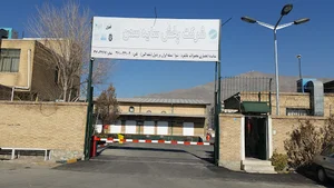 شرکت پخش سایه سمن