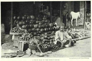 فروشگاه مواد غذائی قاسمی