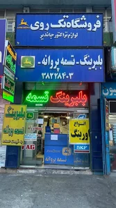 فروشگاه تکروی | تسمه پروانه بلبرینگ اورینگ 2
