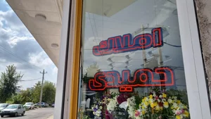 املاک حمیدی 3