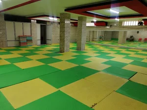 باشگاه افرا