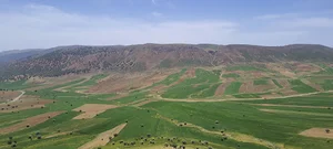 ساختمان یاس