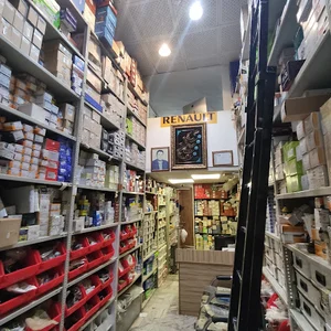 فروشگاه برادران ملت رنو