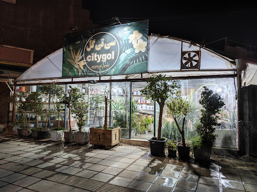 گلخانه سی‌ تی گل