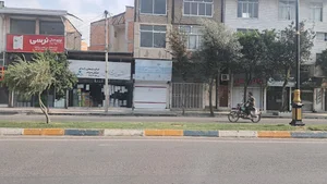 برنج و خواروبار فروشی شیرخانی