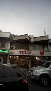 TULIPگل فروشی 2