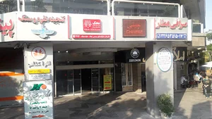 ارین برقی
