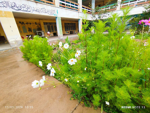 هنرستان هنرجوی شهید مهدی روزبه