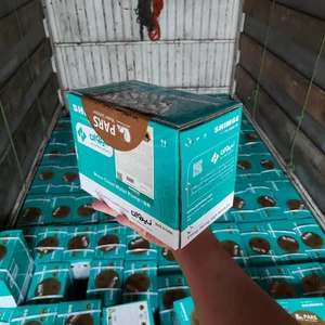 سیال مارکت/ پمپ آب/ موتورخانه 5