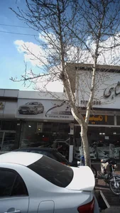 اتو محسن 3