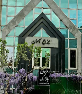 دکتر سیمین برنگی
