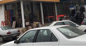 فرش نباتي