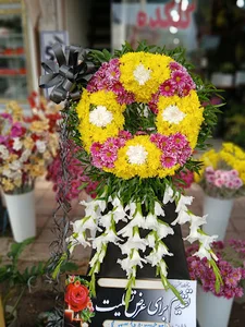 گلکده یاس (نیرومند)