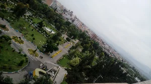 برج کاج