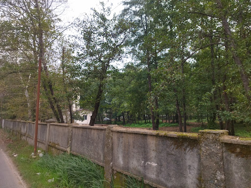 عمارت شهنام