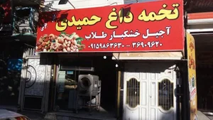 تخمه داغ حمیدی