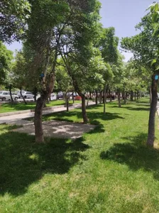بوستان نغمه 3