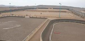 باشگاه سوارکاری همراز 3