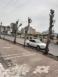 املاک رویال