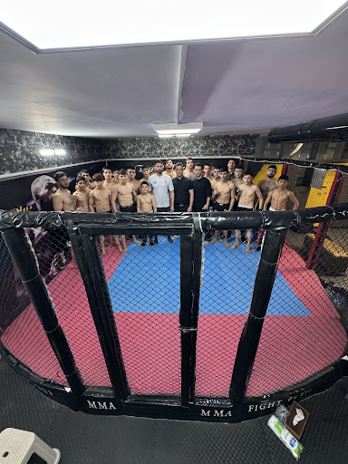 مرکز آموزش هنرهای رزمی ترکیبیMMA تهرانپارس