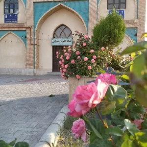 هیئت معظم مُحِبّـانُ الزِّیْنَـبْ (س)