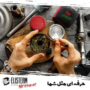 Elisteam