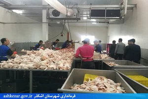 شرکت تولیدوپرورش بلدرچین شیرکوه یزد