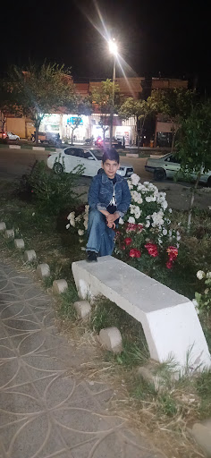 کاخ طاها