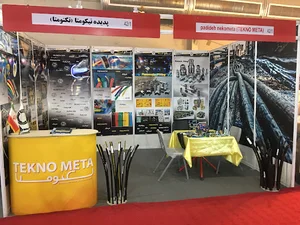 پدیده تکنومتا