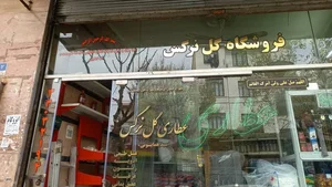 عطاری گل نرگس