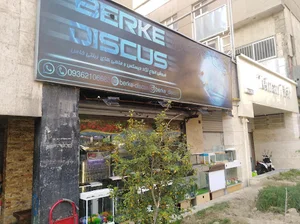 آکواریوم شهر