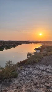 بند شاخ کنار