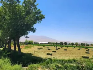 روستای مزرعه