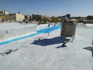 تربت حیدریه